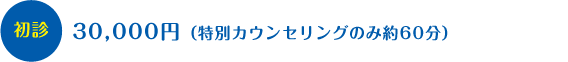初診:30,000円(特別カウンセリングのみ約60分)