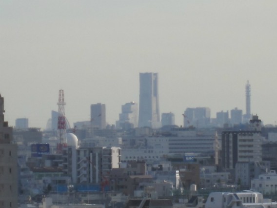 池上本門寺から眺めた横浜ランドマークタワー