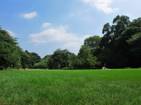 地域の健康診断