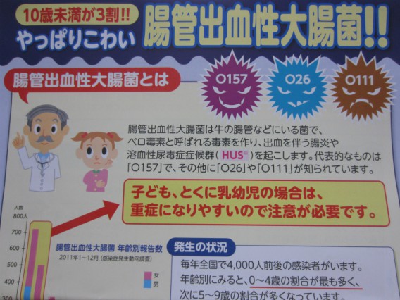 肉食の方へ・腸管出血性大腸菌に気をつけて