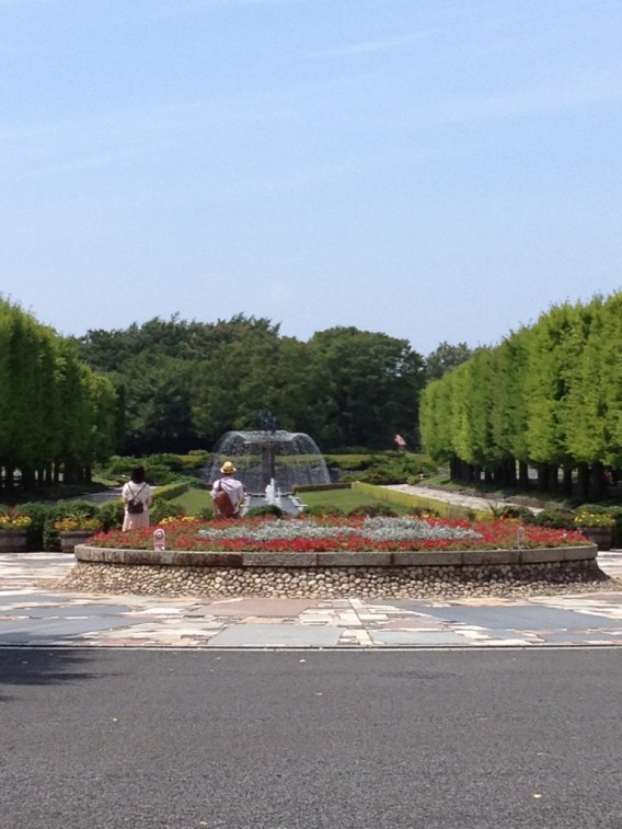 東京の大自然・昭和記念公園