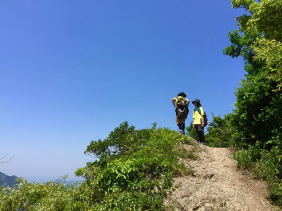 本格的な運動じゃなくても健康は十分保てる