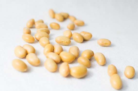 発酵させてない”大豆”は危険か
