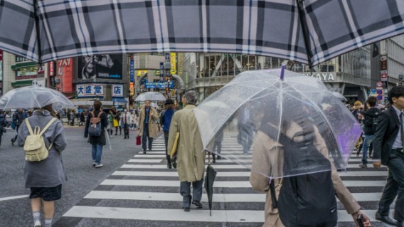 傘が無くても気分よく帰れる？