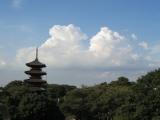 池上本門寺からの眺め