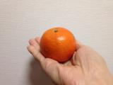 今美味しい柑橘系は「桶柑（タンカン）」