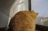 「猫背」？解消したいですか？ついでに運命も変わります。