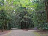 健康への分岐